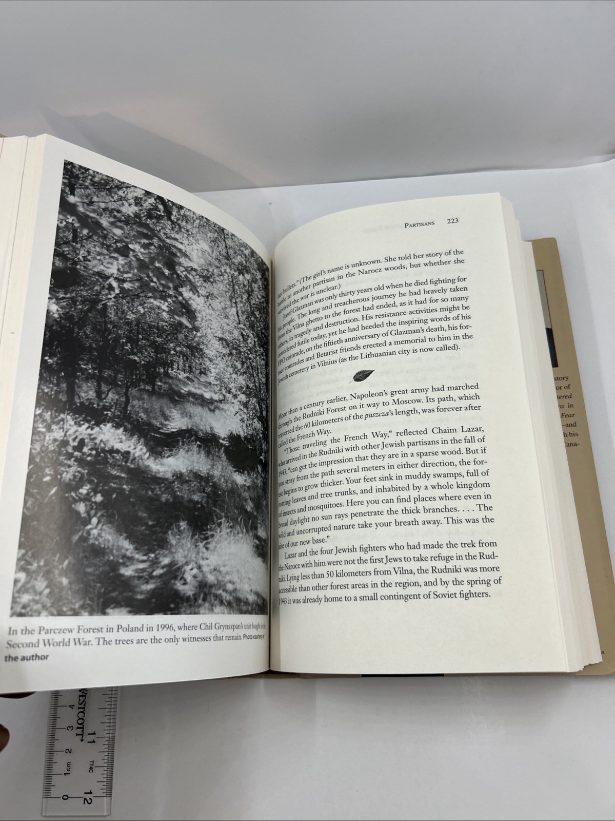 Fugitives of the Forest : The Heroic Story of Jewish Resistance and Survival…