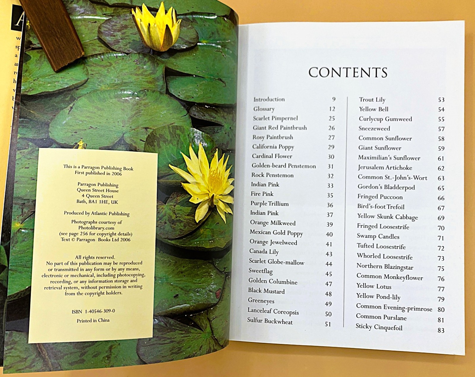 Gardener&rsquo;s Lot of 4 Books, Very Good, The Orchid Show, Etc.