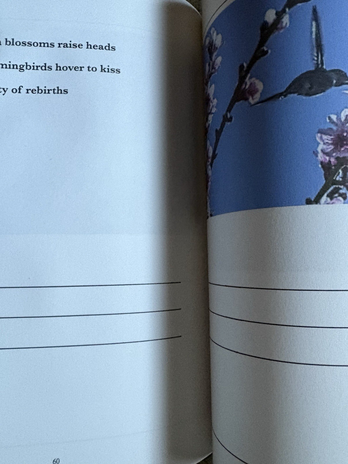 Haiku Workbook Maryam Daftari 2022 Like New Paperback