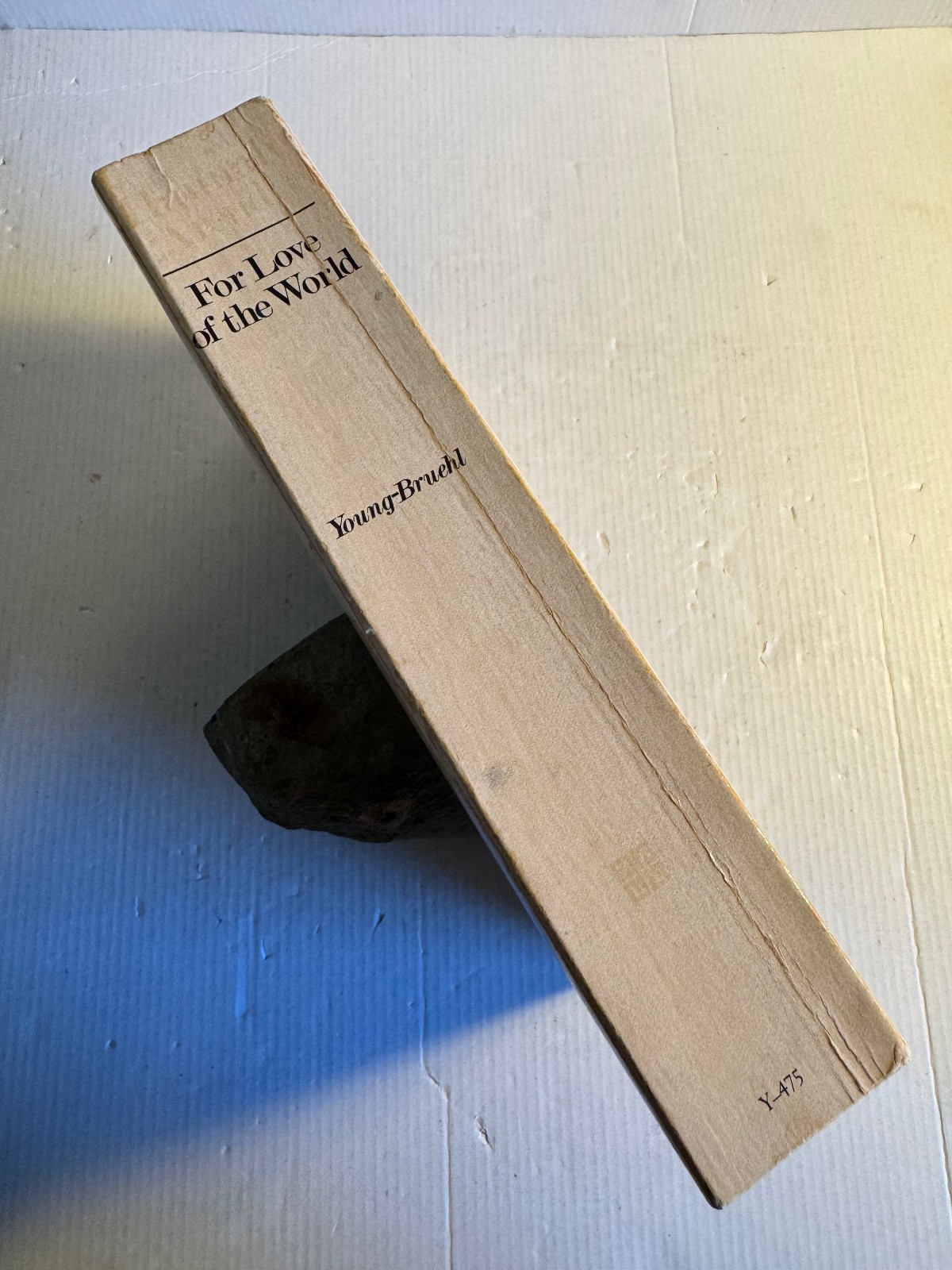 Hannah Arendt For Love of the World Elisabeth Young-Bruehl Good Yale 1982