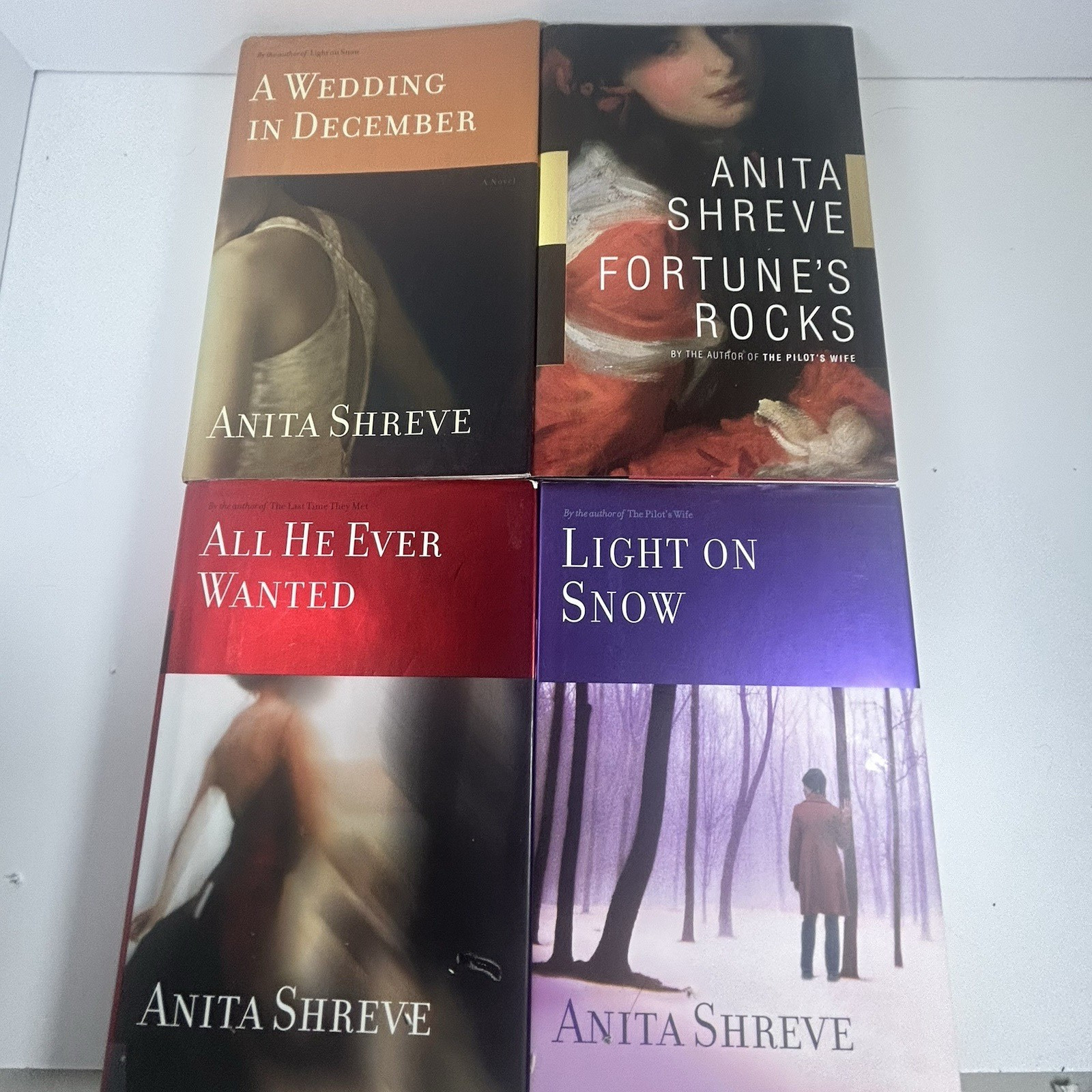 Anita Shreve Novels Fiction Lot of 21 Novels 8 Hardcover 11 Paperbacks