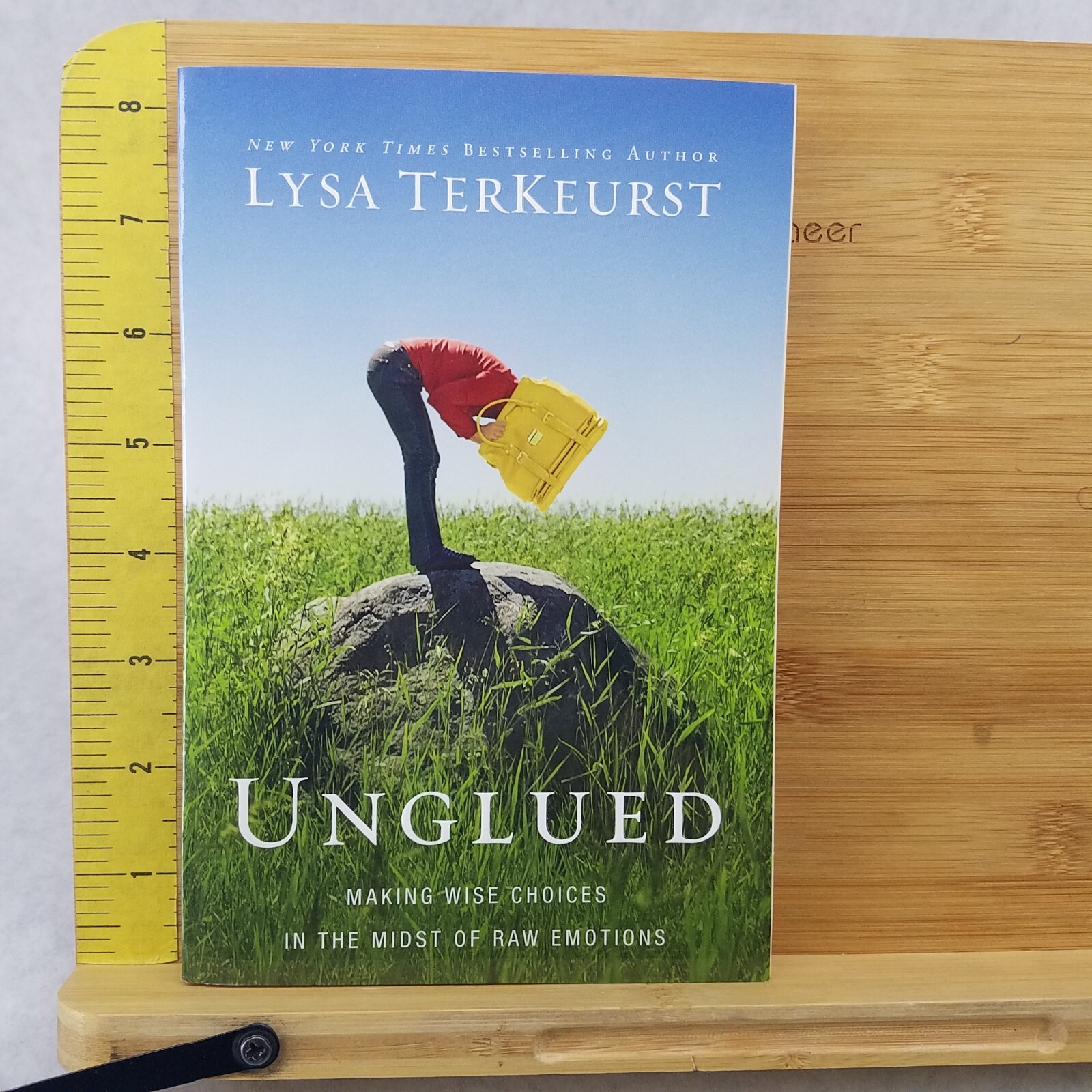 Lysa TerKeurst Lot of 2 Softcovers – Unglued & The Best Yes – LIKE NEW!