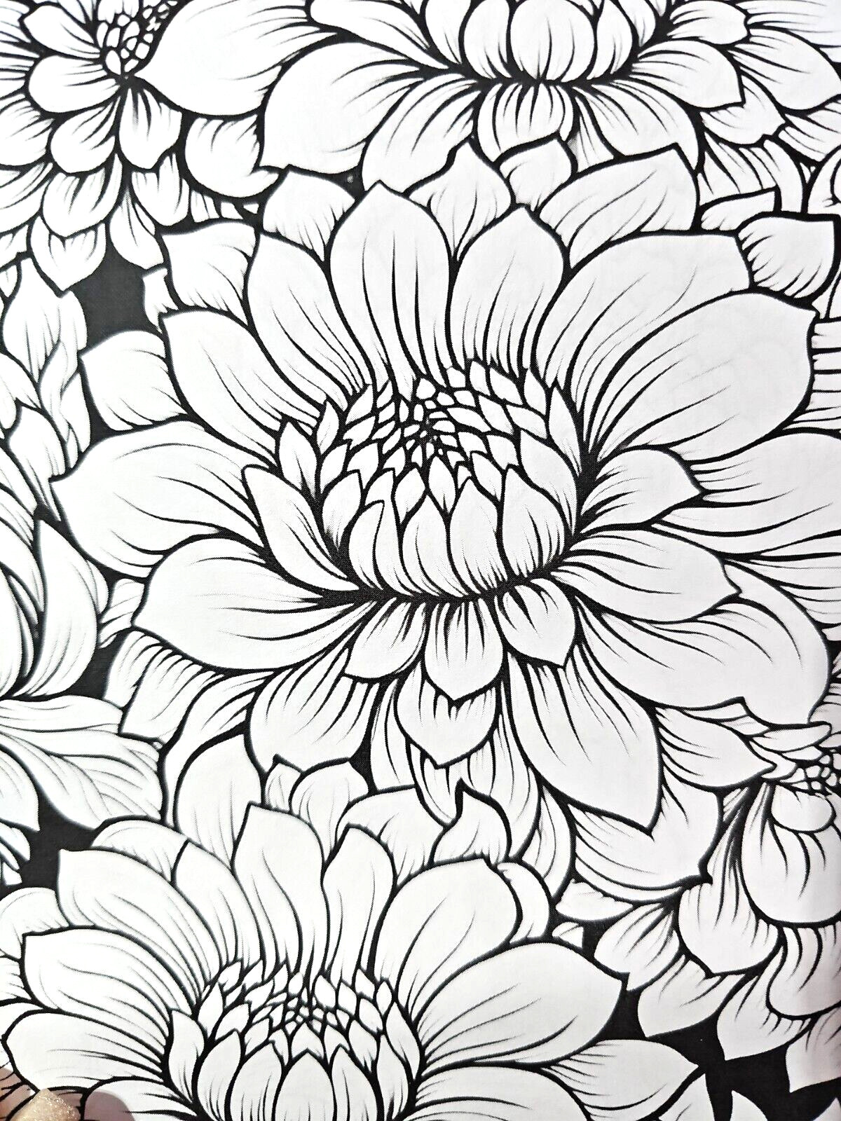 Coloring Book of Flowers 6.75&Prime;x10&Prime; w/ 20 Pages of Single-Sided Images