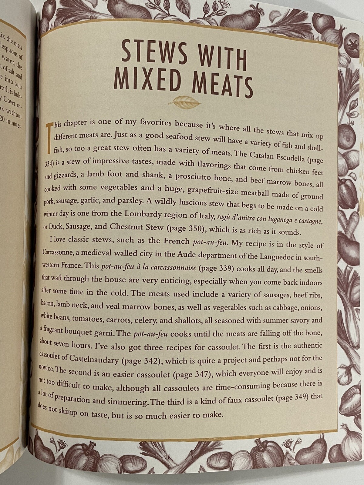 Real Stew : 300 Recipes for Authentic Home-Cooked Cassoulet, Gumb
