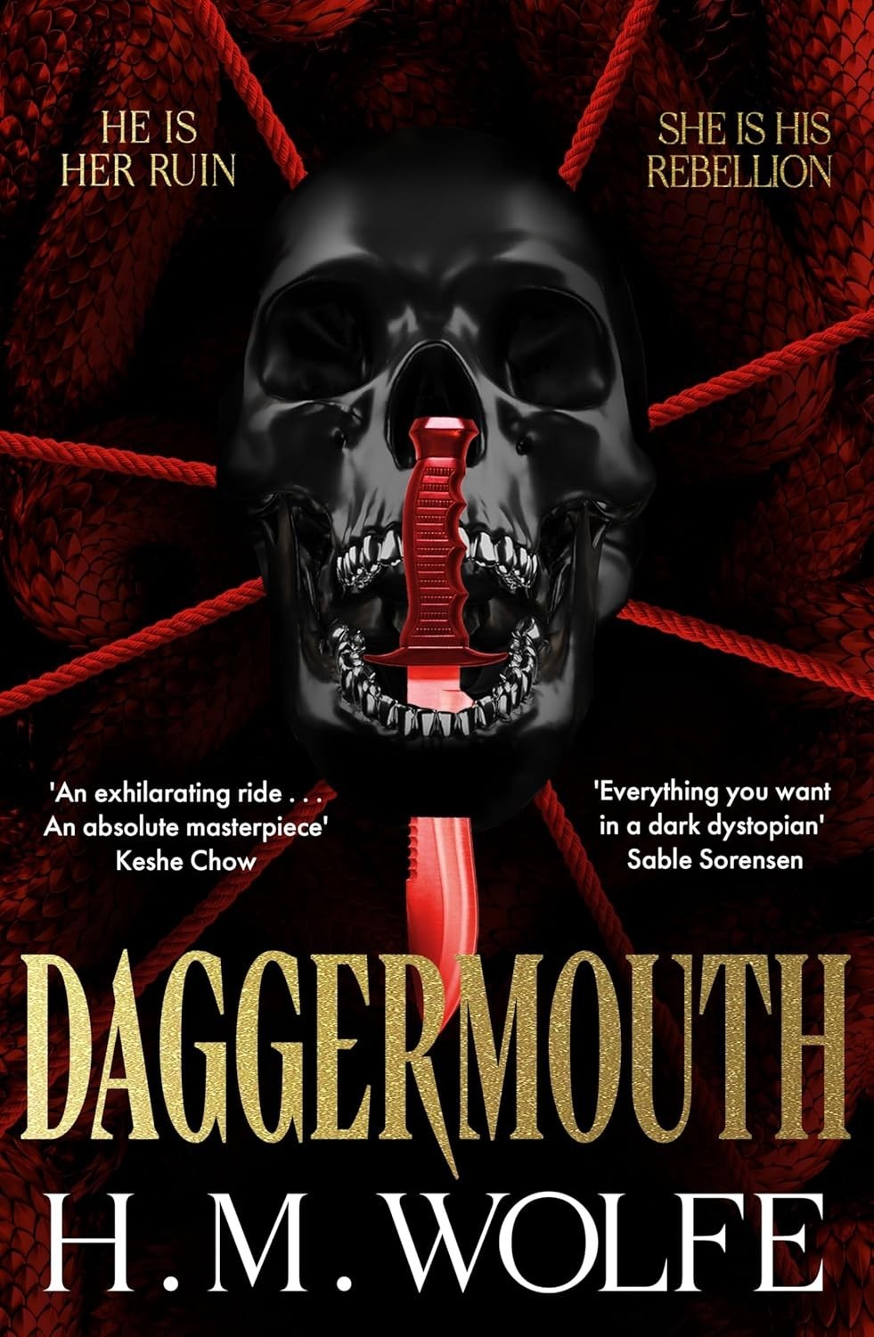 Daggermouth (Paperback) by H. M. Wolfe Free Shipping