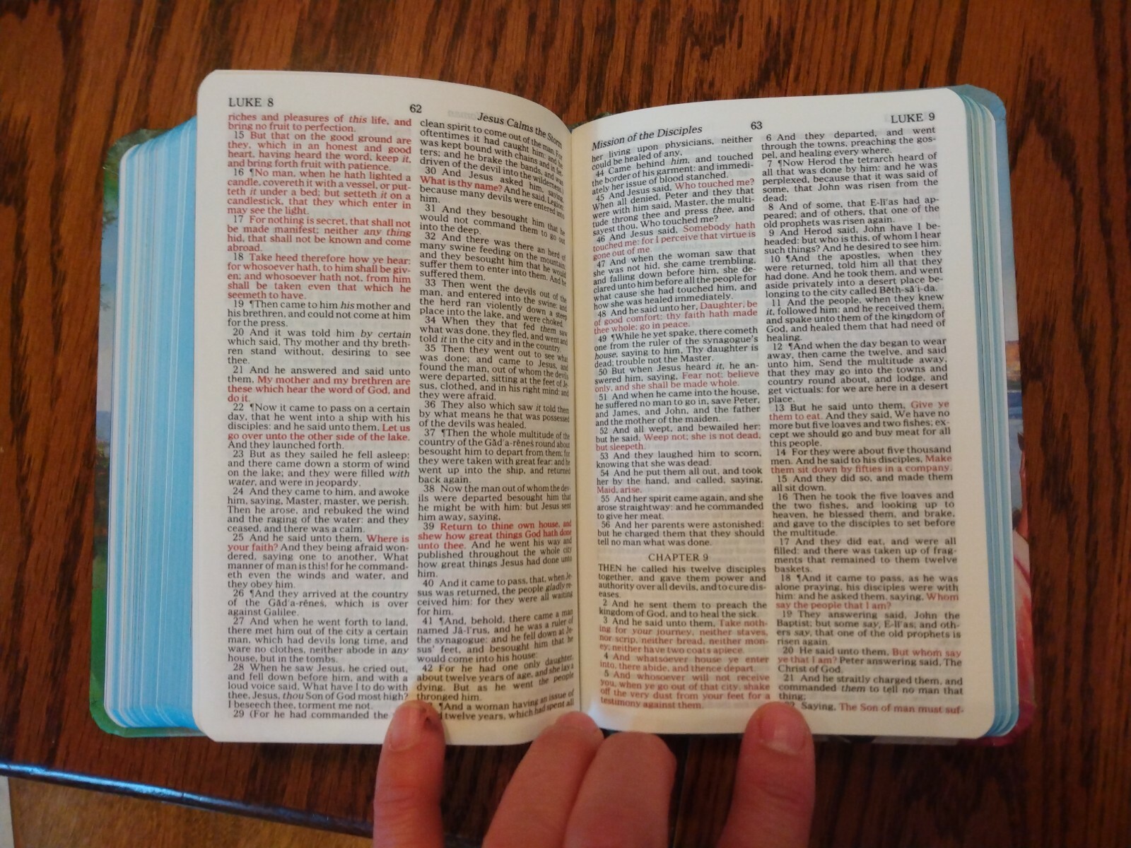 Children&rsquo;s Bible KJV Seaside Bible Illustrated Nelson Hardcover blue edge