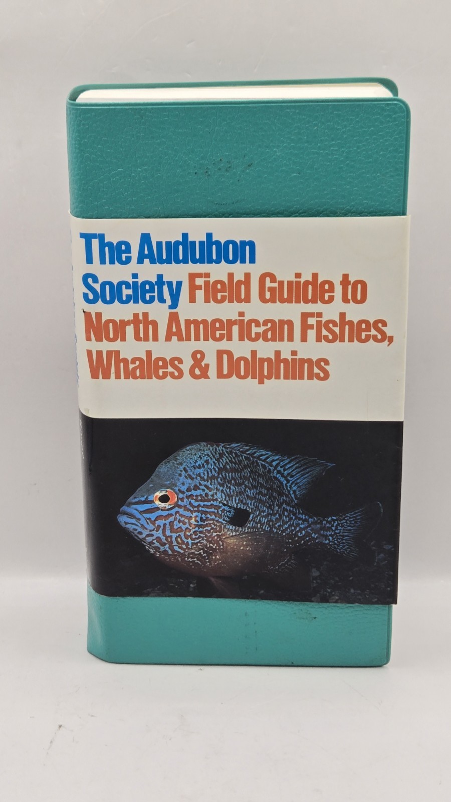 Lot Of 5 National Audubon Society Field Guide Butterflies Reptiles Fish Insects