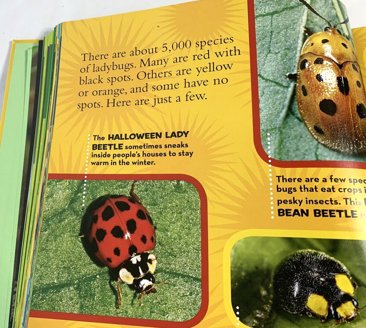 Big Book of Bugs From National Geographic by Catherine D. Hughes…