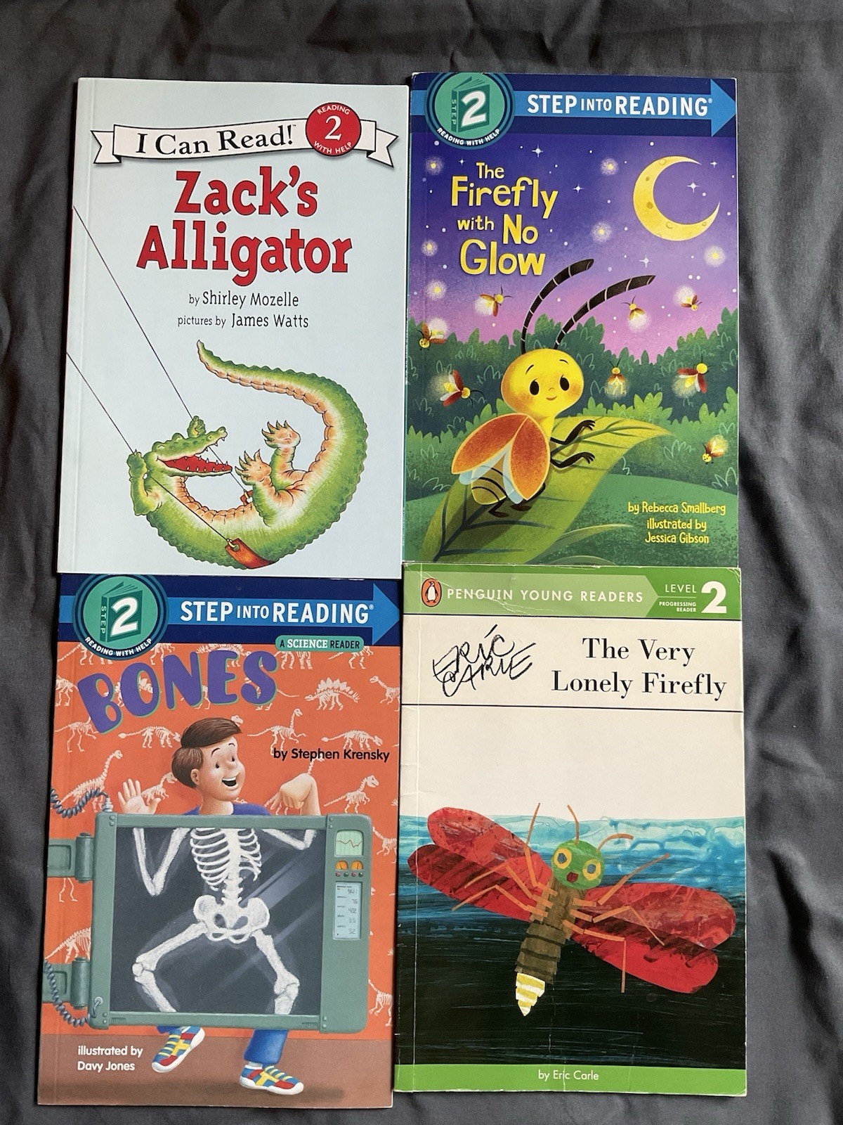 Level 2 I Can Read 14 Book Lot Various Titles Children&rsquo;s Reading Homeschool