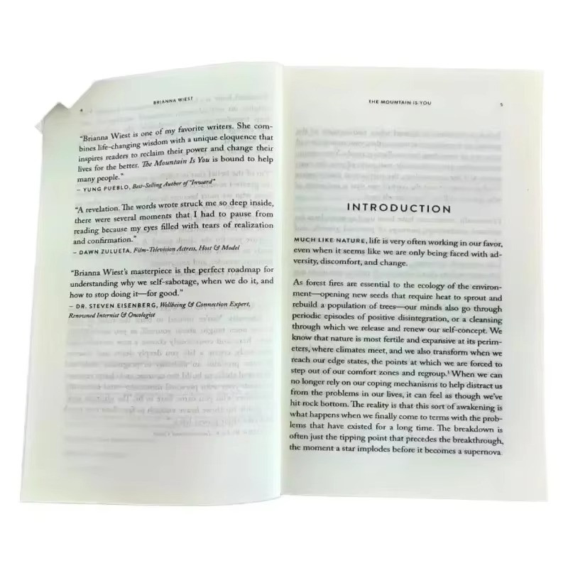 The Mountain Is You: Transforming Self-Sabotage Into Self-mastery English Books